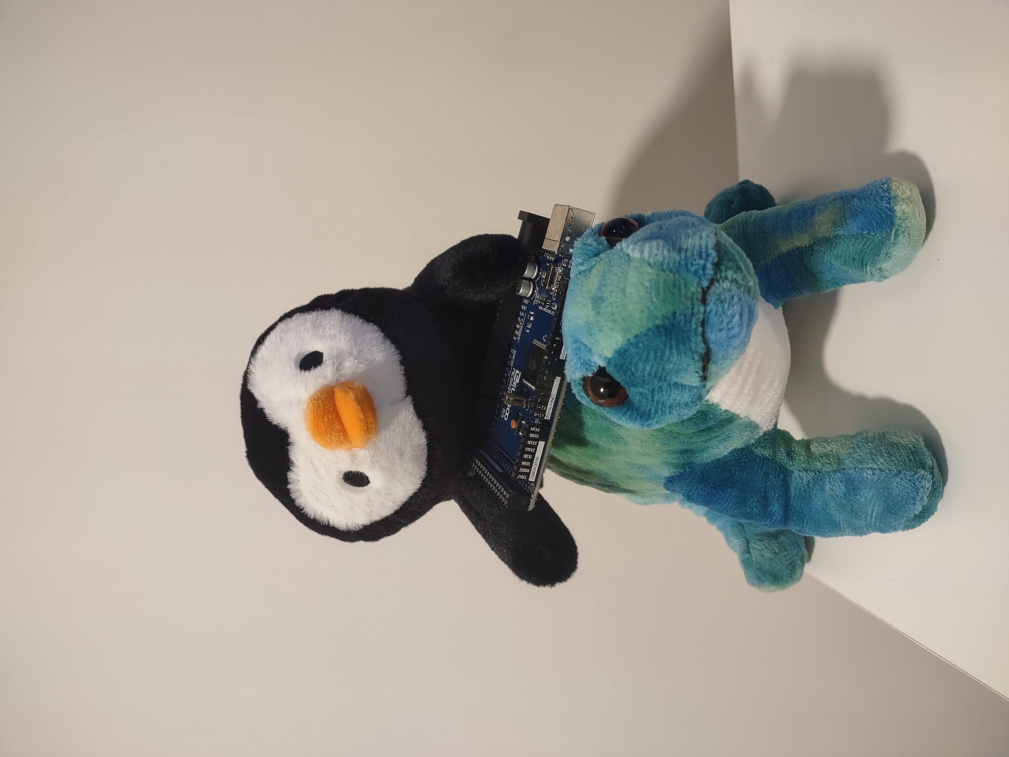 Nuggie and Thick Neck